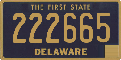 DE license plate 222665