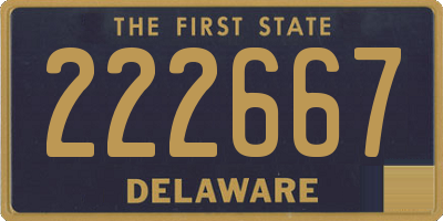 DE license plate 222667