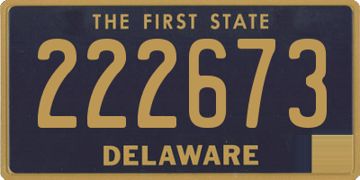 DE license plate 222673