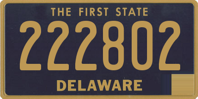 DE license plate 222802