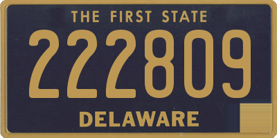 DE license plate 222809