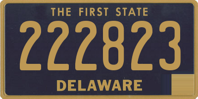 DE license plate 222823