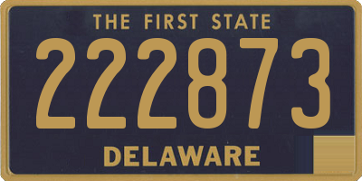 DE license plate 222873