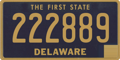 DE license plate 222889
