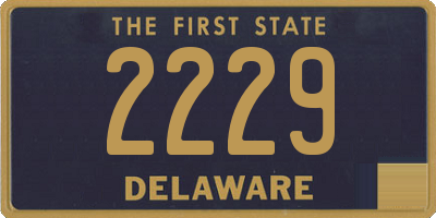 DE license plate 2229