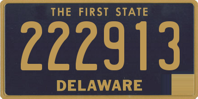 DE license plate 222913