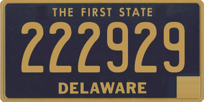 DE license plate 222929