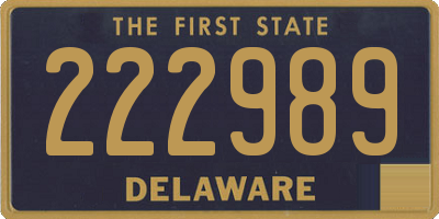 DE license plate 222989