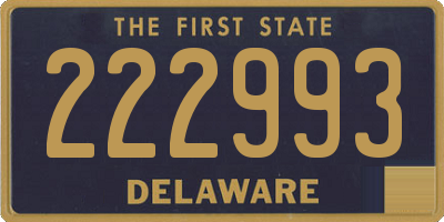 DE license plate 222993