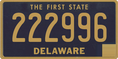 DE license plate 222996