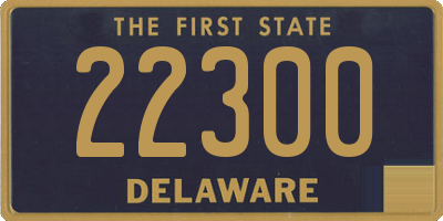 DE license plate 22300