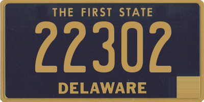 DE license plate 22302