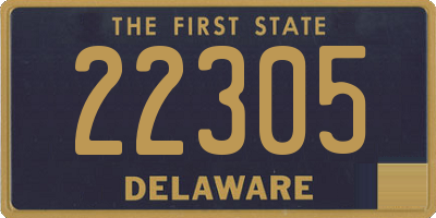 DE license plate 22305