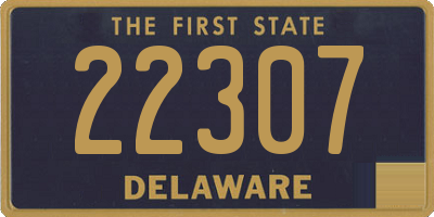 DE license plate 22307