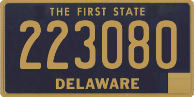 DE license plate 223080