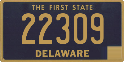 DE license plate 22309