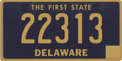 DE license plate 22313