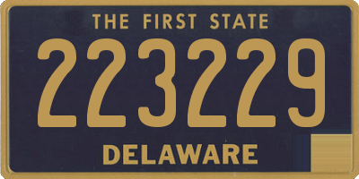 DE license plate 223229