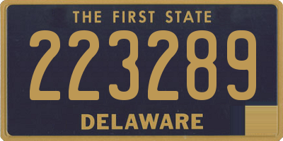 DE license plate 223289