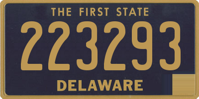 DE license plate 223293