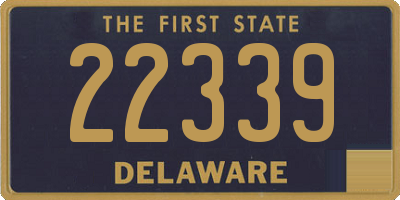 DE license plate 22339