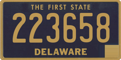 DE license plate 223658