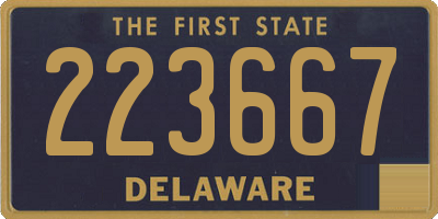 DE license plate 223667