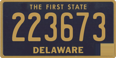 DE license plate 223673