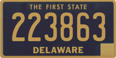 DE license plate 223863