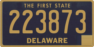 DE license plate 223873