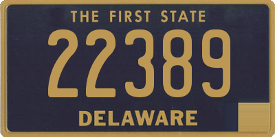 DE license plate 22389