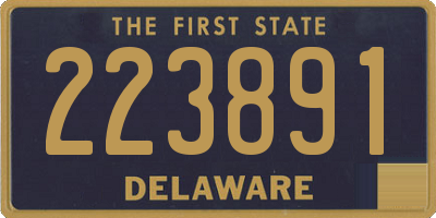 DE license plate 223891