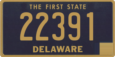 DE license plate 22391