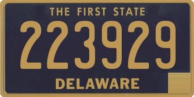 DE license plate 223929