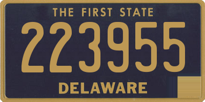 DE license plate 223955