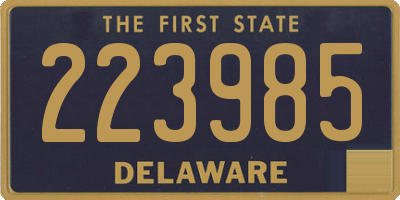 DE license plate 223985