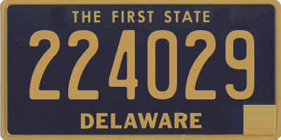 DE license plate 224029