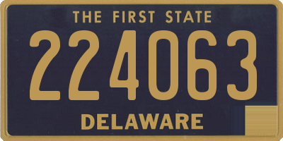 DE license plate 224063