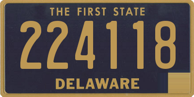 DE license plate 224118