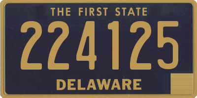 DE license plate 224125