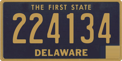 DE license plate 224134