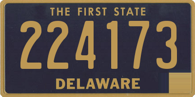 DE license plate 224173