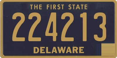 DE license plate 224213