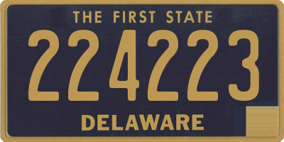 DE license plate 224223