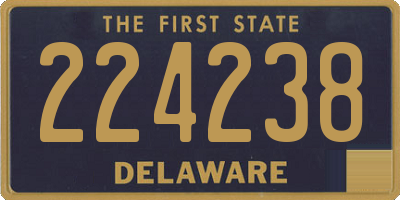 DE license plate 224238