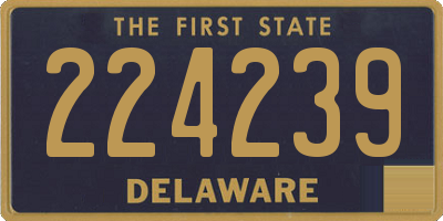 DE license plate 224239