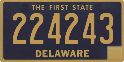 DE license plate 224243