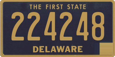 DE license plate 224248