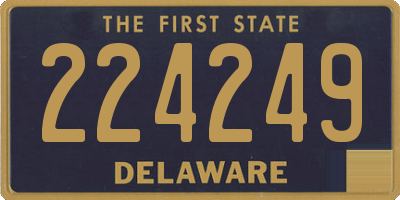 DE license plate 224249