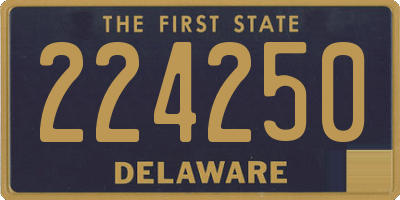 DE license plate 224250